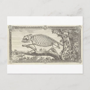 Carte Postale Illustration de Chameleon Skeleton