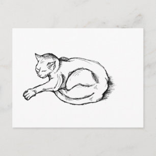 Carte Postale Illustration de chat endormi dessin à la plume Art