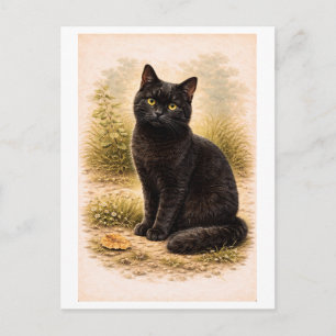 Carte Postale Illustration de chat noir de style vintage
