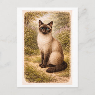 Carte Postale Illustration de chat siamois de style vintage