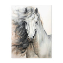 Illustration de cheval blanc Postcrossing