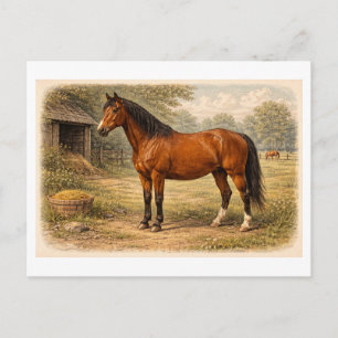Carte Postale Illustration de cheval de style vintage
