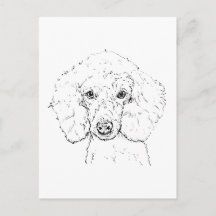 Illustration de chien caniche mignon, dessinée à l