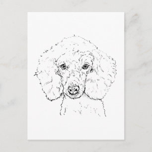 Carte Postale Illustration de chien caniche mignon, dessinée à l