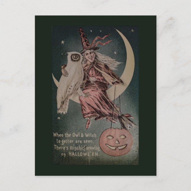 Carte Postale Illustration de chouette vintage Halloween Funny (Devant)