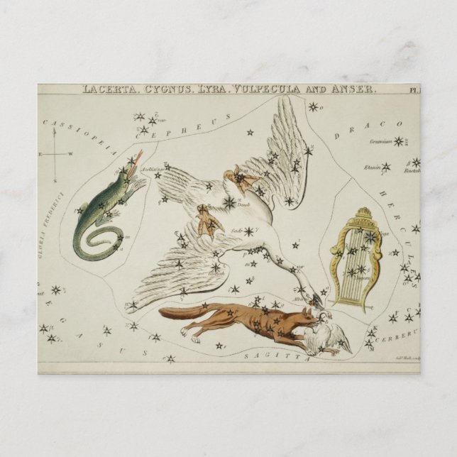 Carte Postale Illustration de constellation vintage (Devant)