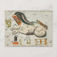 Illustration de constellation vintage