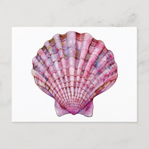 Carte Postale Illustration de coquillage rose d'aquarelle vive