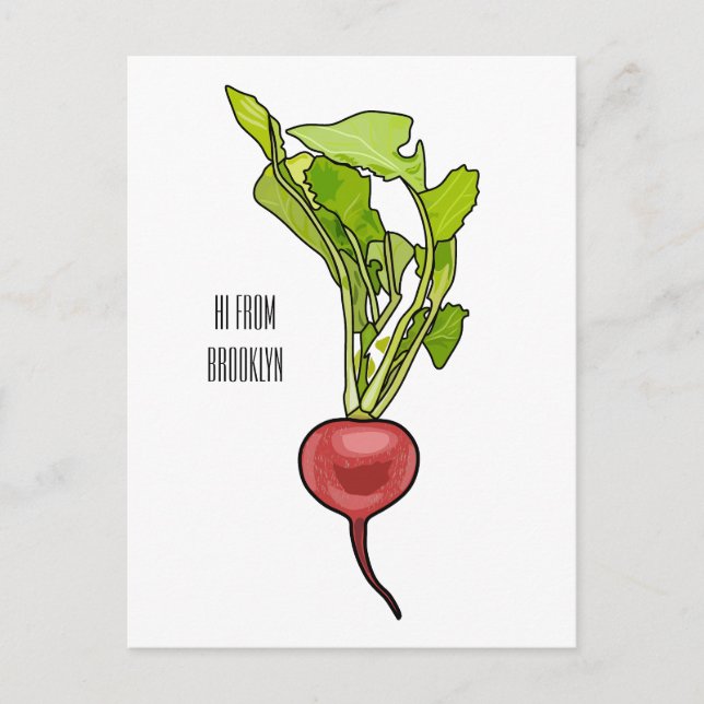 Carte Postale Illustration de dessin Radish (Devant)