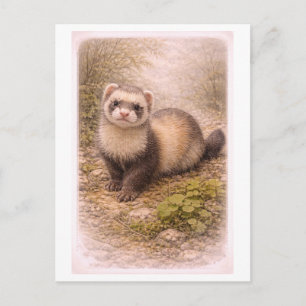 Carte Postale Illustration de furet de style vintage
