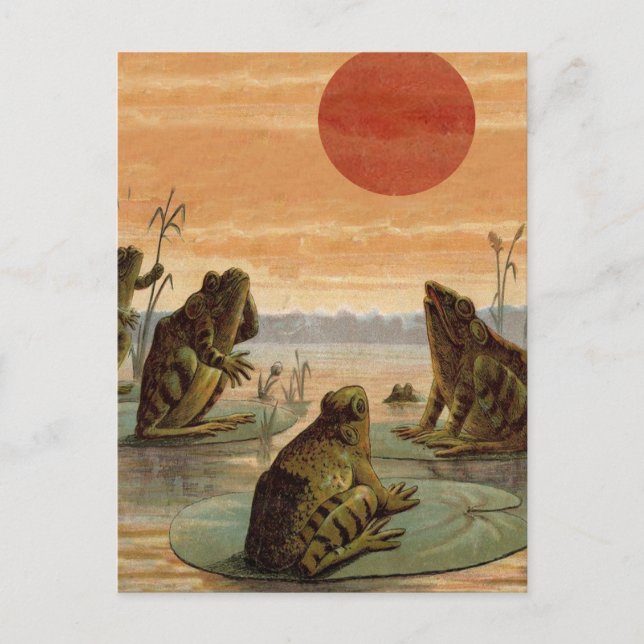 Carte Postale Illustration de grenouilles Lily Pads Moon (Devant)