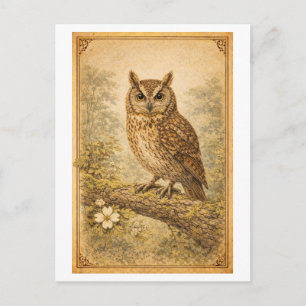 Carte Postale Illustration de hibou de style vintage