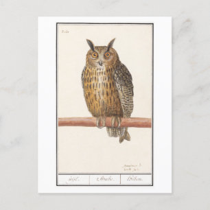 Carte Postale Illustration de hibou vintage