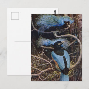 Carte Postale Illustration de Johnston Vintage Blue Bird Paradis