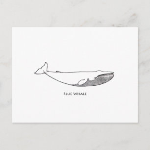 Carte Postale Illustration de la baleine bleue (art linéaire)