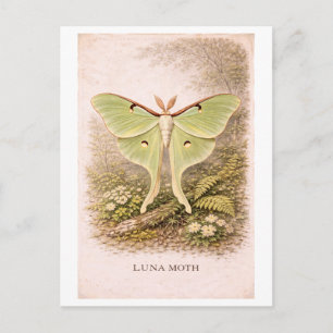 Carte Postale Illustration de la lune de style vintage
