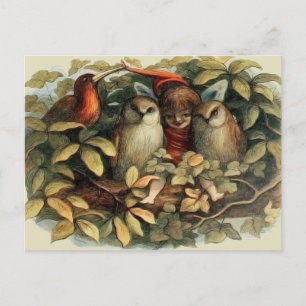 Carte Postale Illustration de la nature des hiboux et des fées e