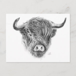 Carte Postale Illustration de la vache écossaise Highland