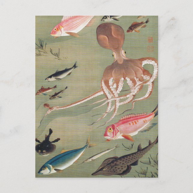 Carte Postale Illustration de la vie marine du poisson et de la  (Devant)
