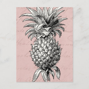 Carte Postale Illustration de l'ananas vintage des années 1800 r
