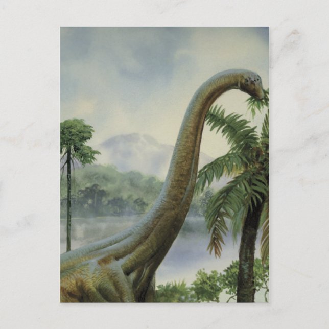 Carte Postale Illustration de l'Apatosaure (Brontosaurus) (Devant)