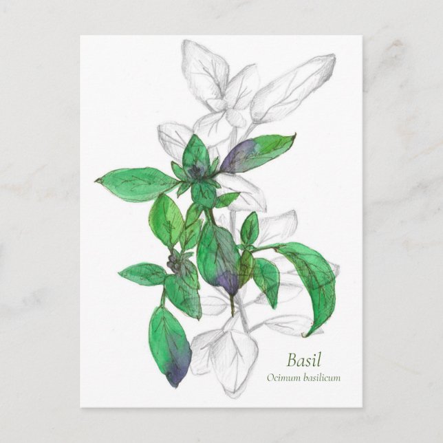 Carte Postale Illustration de l'aquarelle de Cuisine de base (Devant)