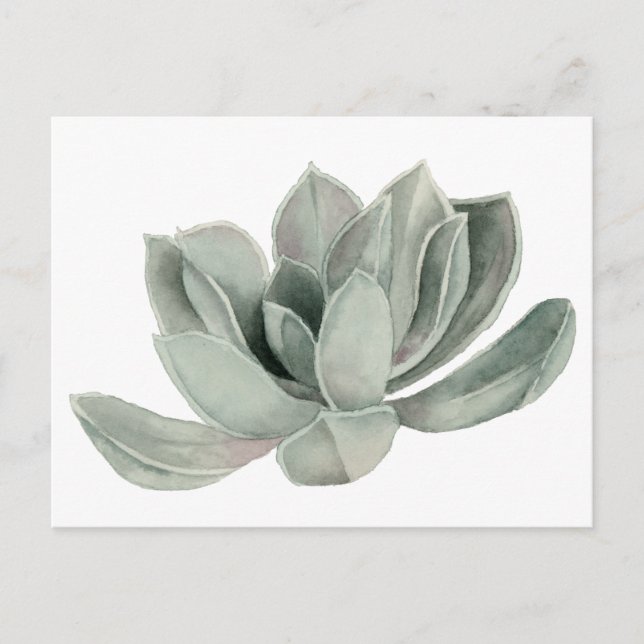Carte Postale Illustration de l'aquarelle du Plante (Devant)