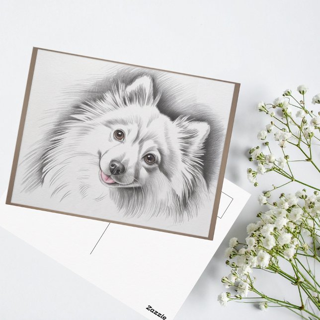 Carte Postale Illustration de l'esquisse de la race de chien Spi (japanese spitz framed sketch postcard)