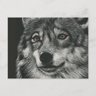 Carte Postale Illustration de loup noir et blanc