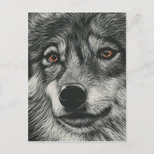 Carte Postale Illustration de loup noir et blanc (Devant)