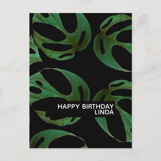 Carte Postale Illustration de motif de plante Monstera pour un a (Devant)