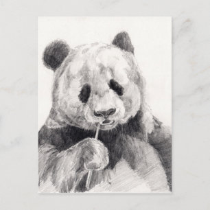 Carte Postale Illustration de panda noir et blanc mignon