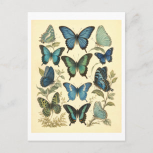 Carte Postale Illustration de papillon bleu de style vintage