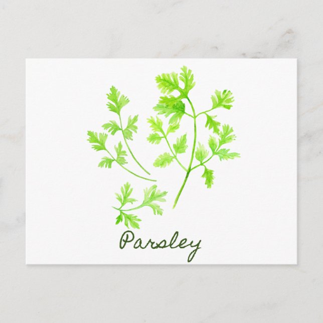 Carte Postale Illustration de persil d'herbe d'aquarelle (Devant)