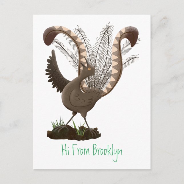 Carte Postale Illustration de superbe et superbe lyrebird (Devant)