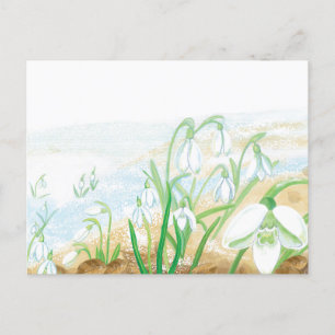 Carte Postale Illustration des chutes de neige blanches