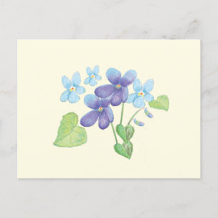Carte Postale Illustration des fleurs de violet sauvages