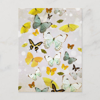 Carte Postale Illustration des papillons
