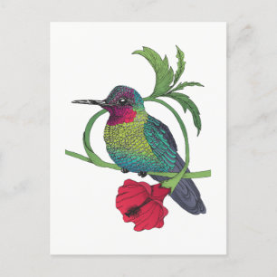 Carte postale Illustration d'oiseaux Colibri