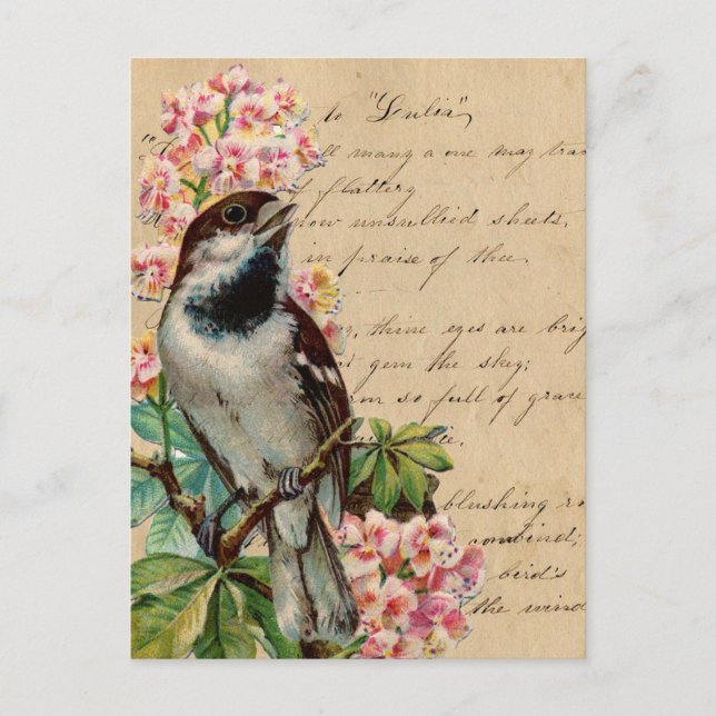 Carte Postale Illustration d'oiseaux victoriens 2 (Devant)