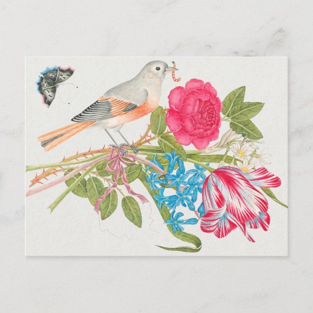 Carte Postale Illustration d'oiseaux vintages (Devant)