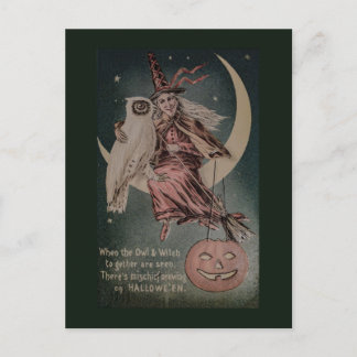 Carte Postale Illustration drôle de hibou Halloween vintage