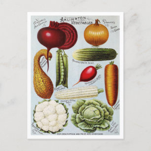 Carte Postale Illustration du catalogue des semences de légumes 