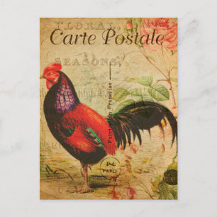 Carte Postale Illustration du coq de poulet vintage en français