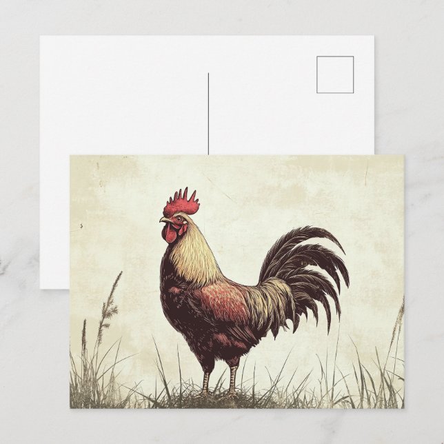 Carte Postale Illustration du coq ton Vintage (Devant / Derrière)
