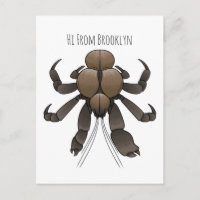 Illustration du crabe de coco