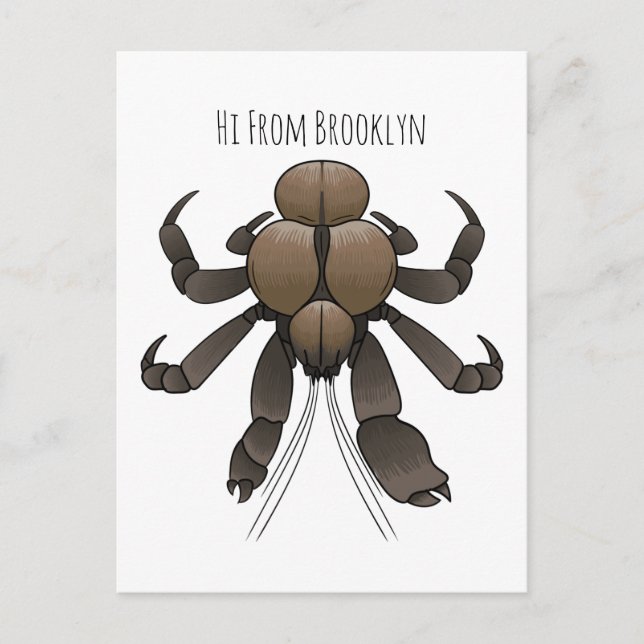 Carte Postale Illustration du crabe de coco (Devant)