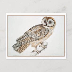 Carte Postale Illustration du hibou chinois vintage