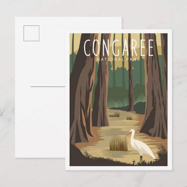 Carte Postale Illustration du Parc national du Congaree en Carol (Devant / Derrière)