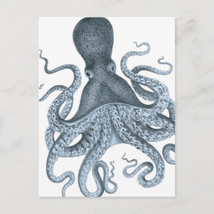 Carte Postale Illustration du poulpe Vintage gris bleu